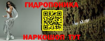 крисы Кандалакша