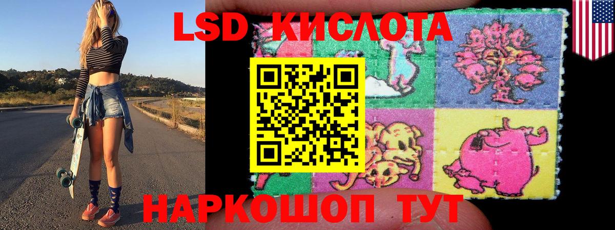 Наркотические марки 1,5мг  Вход с VPN  Курчалой 
