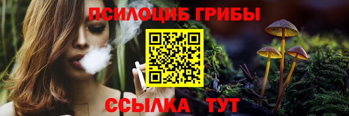Галлюциногенные грибы Cubensis Курчалой