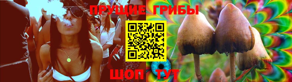 Галлюциногенные грибы GOLDEN TEACHER  Вход с VPN  Курчалой  Псилоцибиновые грибы ЛСД 